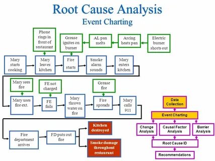 Define root