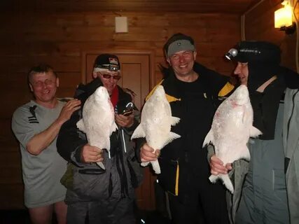 Погода в каргаполово сузунского