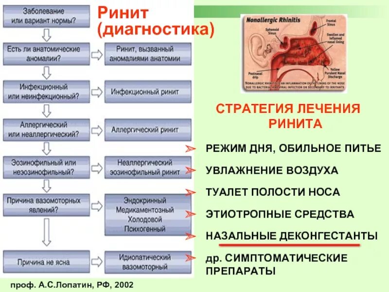 Ринит диагностика. Диагностика острого ринита. Механизм развития ринита. Хронический ринит диагноз. Истории болезни ринит