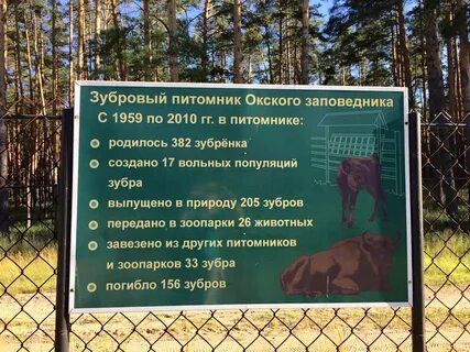 Брыкин бор рязань расписание