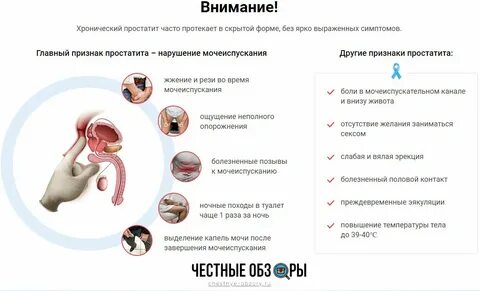 И после мочеиспускания появляется в