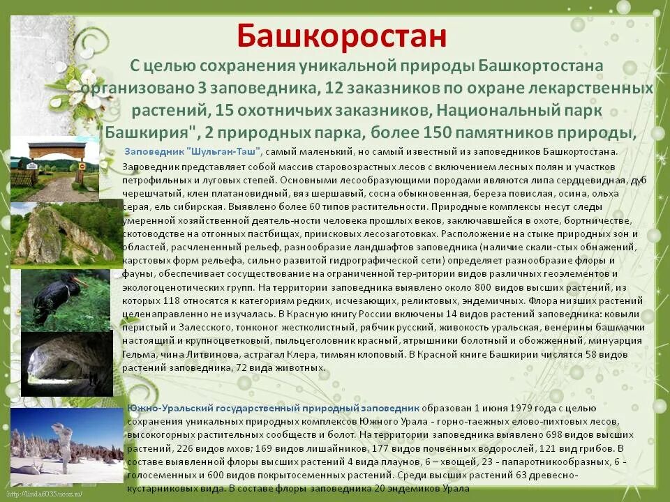 Заповедник это в экологии. Охрана природы Башкирии. Информация о заповеднике. Охрана природы заповедники.