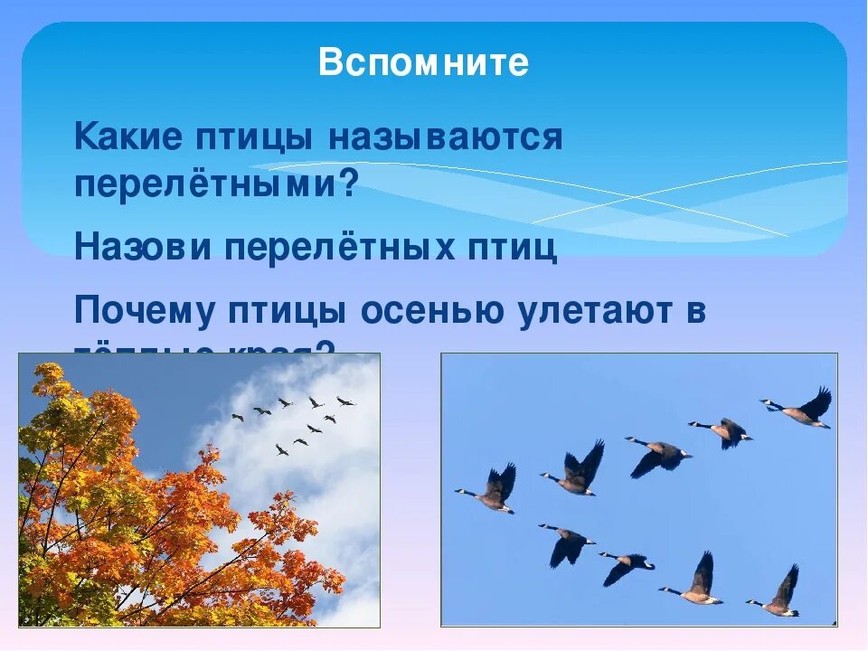 Улетели какое время