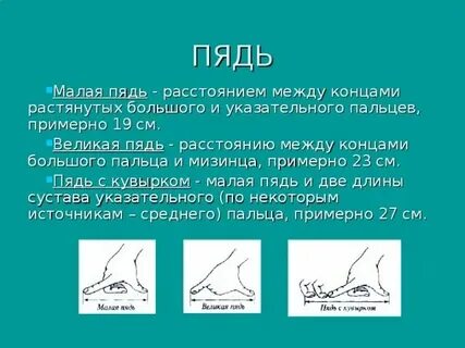 Не отдать ни пяди земли значение