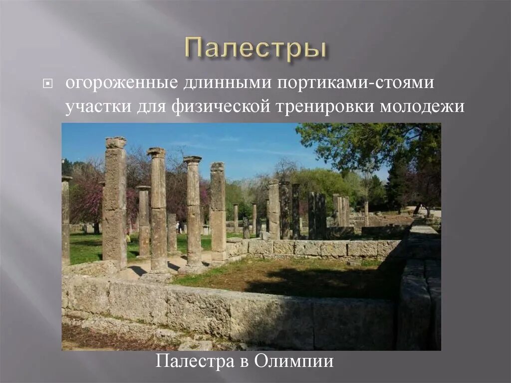 Гимнасии в древней Греции. Палестры и гимнасии в древней Греции. Школа Палестра в древней Греции. Гимнасий Помпеи.