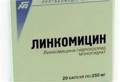 Линкомицин аналоги в стоматологии. Линкомицин гидрохлорид таблетки. линкомицин аналоги таб. линкомицина гидрохлорид капсулы инструкция.