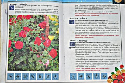 Плодородные знаки зодиака для посадки