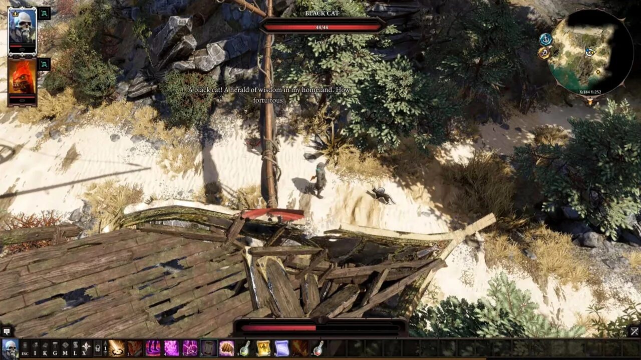 Дрифтвуд divinity. Форт джой divinity original sin 2. сфера истока divinity original sin 2. монастырский лес дивинити 2. divinity original sin 2 гейст.