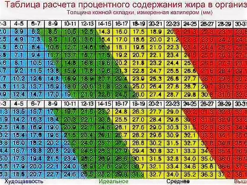 Норма жира в организме мужчины. Нормы жира в организме женщины таблица. Процент жира у женщин таблица. Норма процента жира в организме. Процент жира у женщин норма.