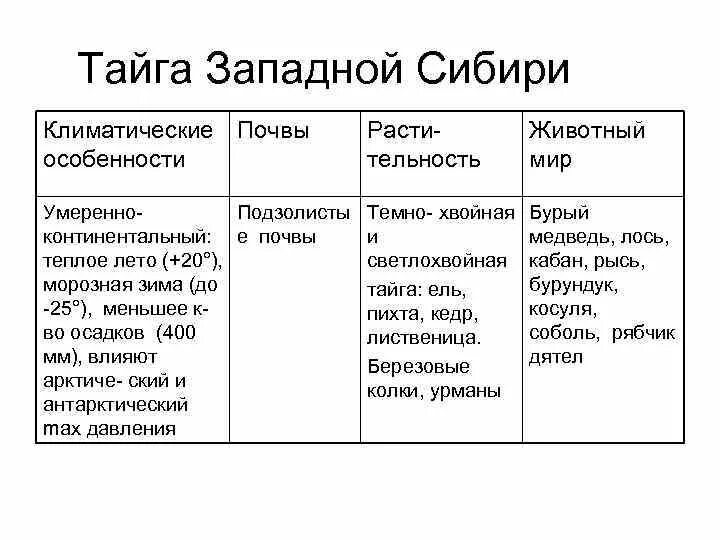 Тайга климат растения животные таблица. Тайга климат почва растительность животные таблица. Тайга климат почва растения животные. Тайга Тип климата растительность животный мир почва. Природные зоны сибири таблица