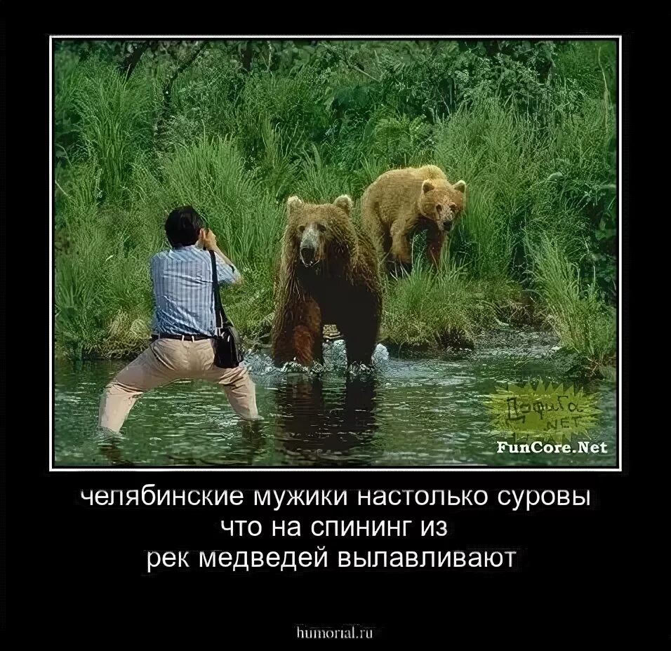 Медведь прикол. Медведь демотиватор. Шутки про медведя. Мужчина убегает от медведя. Спрашивай подожди