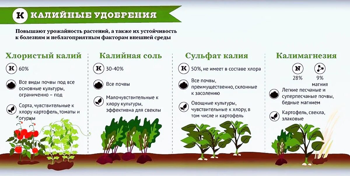 При какой температуре работают удобрения. Удобрения для растений. Типы удобрений для растений. Схема удобрения. Виды подкормок растений.