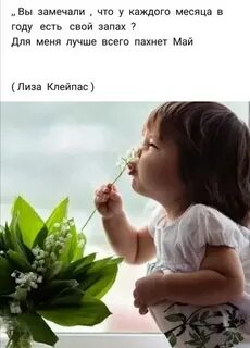 Запах мая