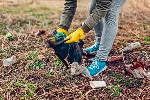 Clean up litter