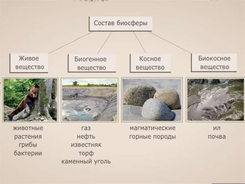 Гранит является примером вещества биосферы. Вещества биосферы. Биогенные и Биокосные вещества. Вещества биосферы по Вернадскому. Типы веществ в биосфере.