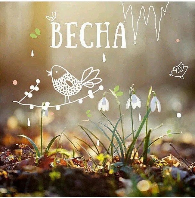 Доброе утро хорошего с первым днем весны. Доброе утро с первым днем весны. С первым днем весны стильные. Открытки с 1 днем весны. С первым днем весны друзья.