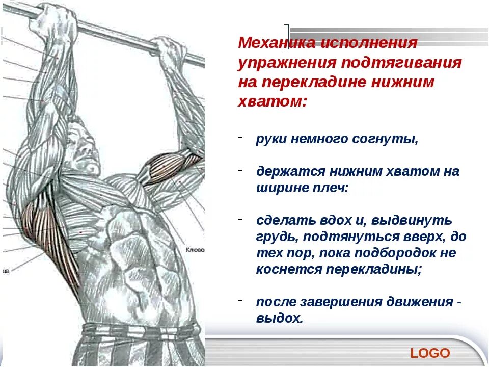 Как сделать подтягивание. Потягивания схема мышц. Подтягивания схема мышц. Мышцы при подтягивании параллельным хватом. Турник техника подтягивания на турнике.