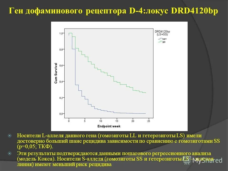 Дофаминовая зависимость. Ген дофаминового рецептора d4 тест. Ген drd4 7r. График восстановления дофаминовых рецепторов. График дофаминовой зависимости.