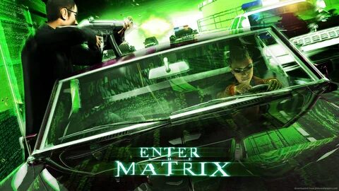 My Review Enter The Matrix.