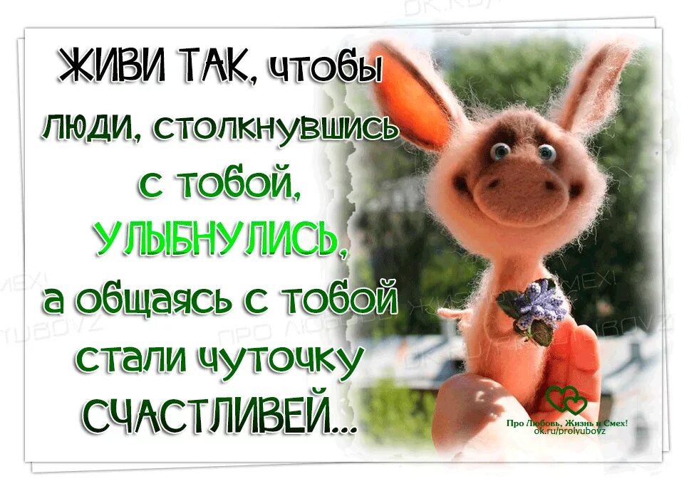 Шутим живем