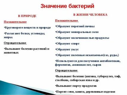 Выписать роль бактерий