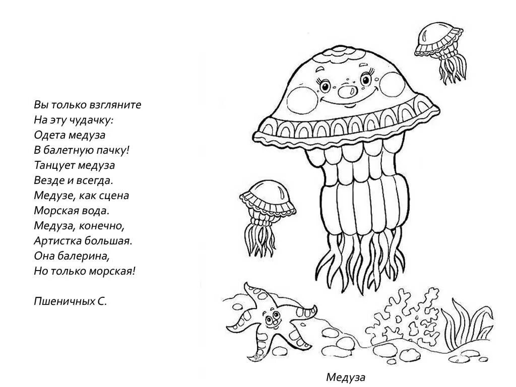 Стихи про морских обитателей для детей. Детские стихи о морских обитателях. Стихи про морских обитателей для малышей. Раскраска морские обитатели.