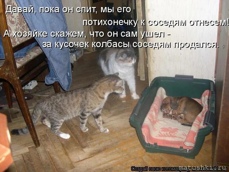 Ночью пришли хозяева