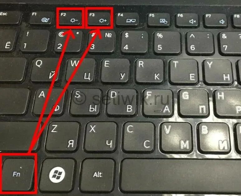 Включи добавить