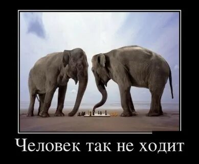 Ходи на главную