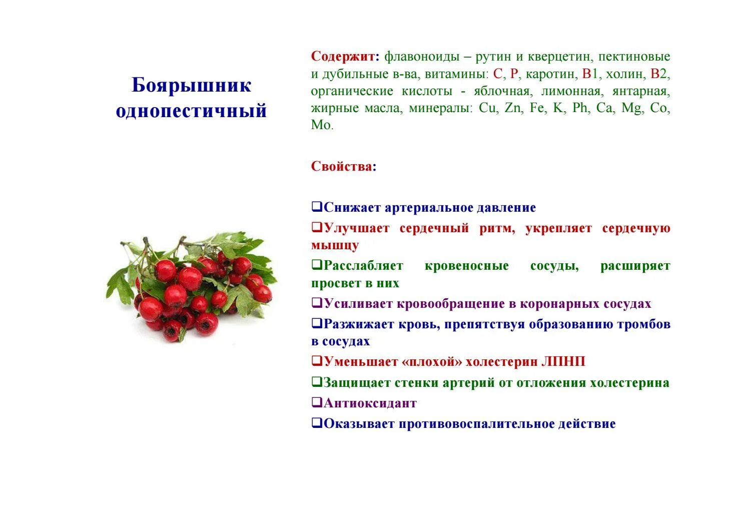 Флавоноиды инструкция. Продукты содержащие флавоноиды. Боярышник витамины. Флавоноиды рутин кверцетин. Боярышник какие витамины содержит.