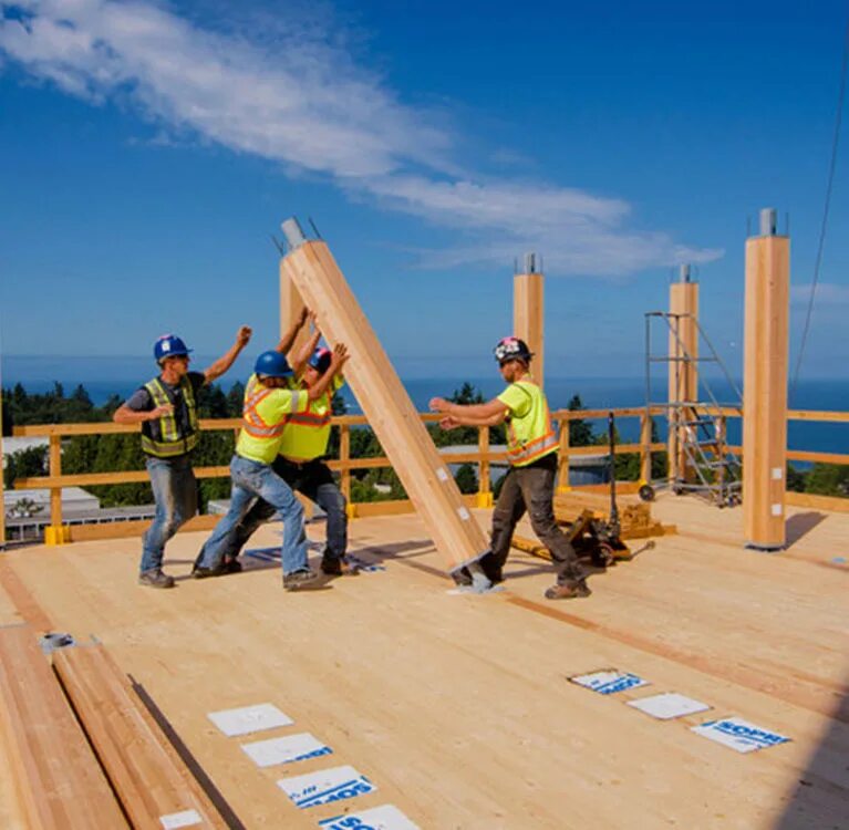 Trend construction
