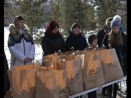 Социальный проект дари
