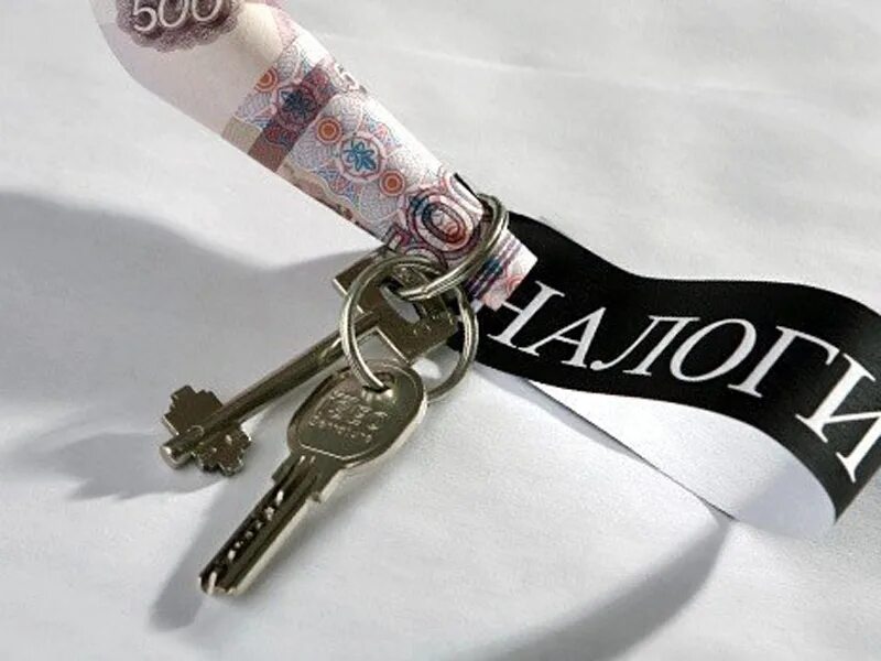 Налог на др. Необычные налоги. самые необычные налоги. самые странные налоги в россии.
