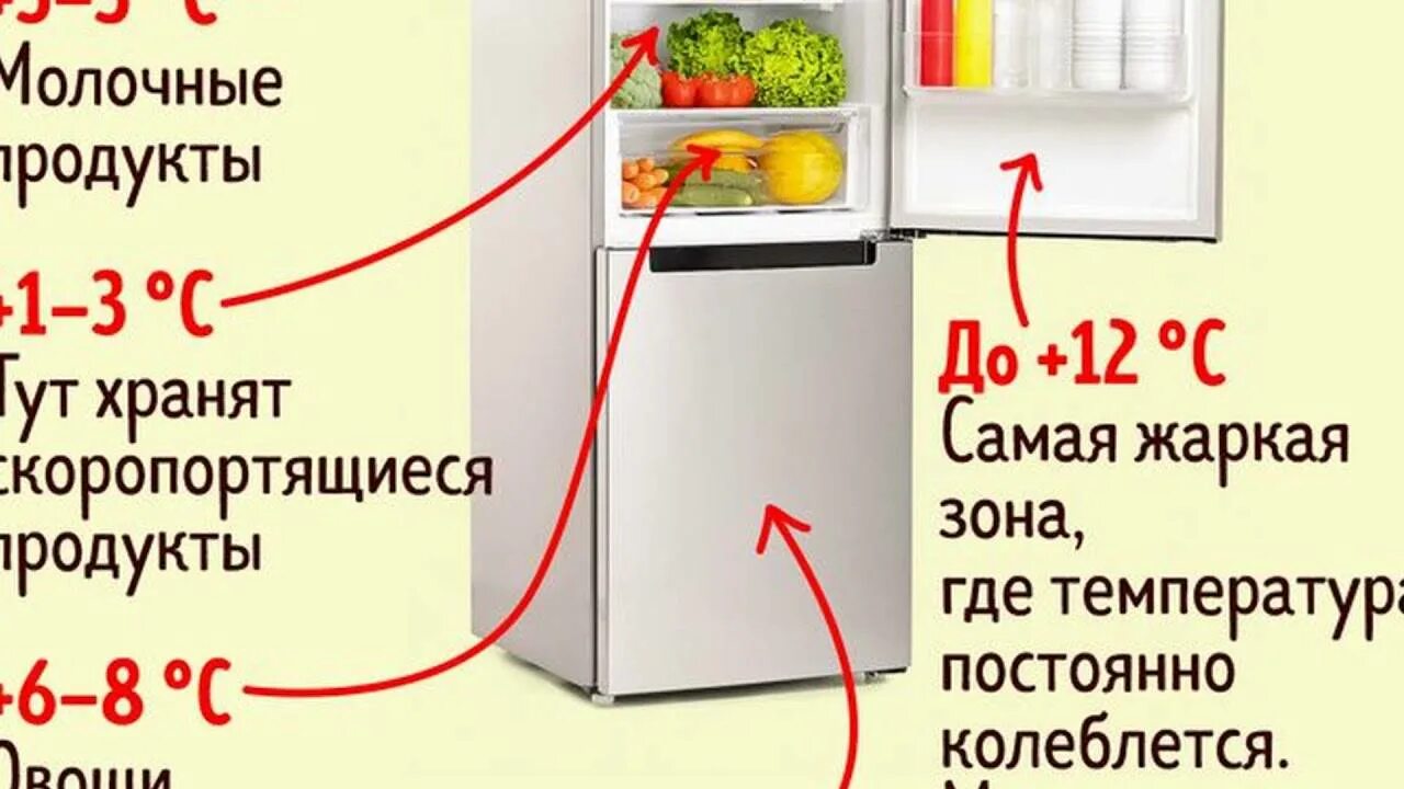 Температура в цветочном холодильнике. Температура в холодильнике. Температура в холодильнике и морозильной камере. Хранение продуктов в холодильнике. Холодильник с продуктами.