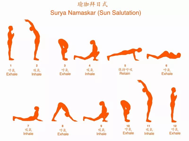 Комплекс приветствие солнцу. Сурья Намаскар 1 круг. Сурья Намаскар бихарская школа. Сурья Намаскар Шивананда йога. Комплекс упражнений в йоге Сурья Намаскар.