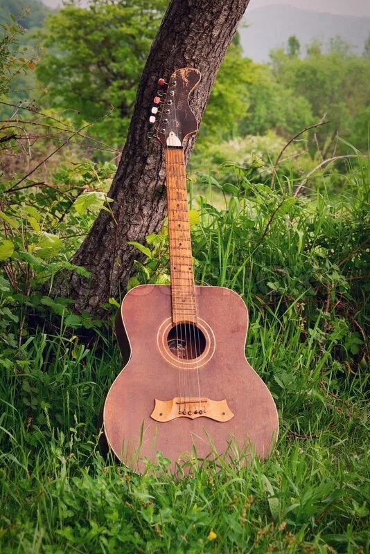 Dean 12 струнная электрогитара. Natural guitar. Yamaha silent guitar 200nw. Cort g200dx-nat. Natural guitar.