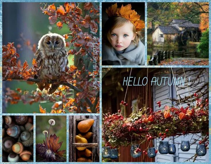 By autumn i. Осенний коллаж. коллаж осень. осень кофе коллаж. hello autumn коллаж.