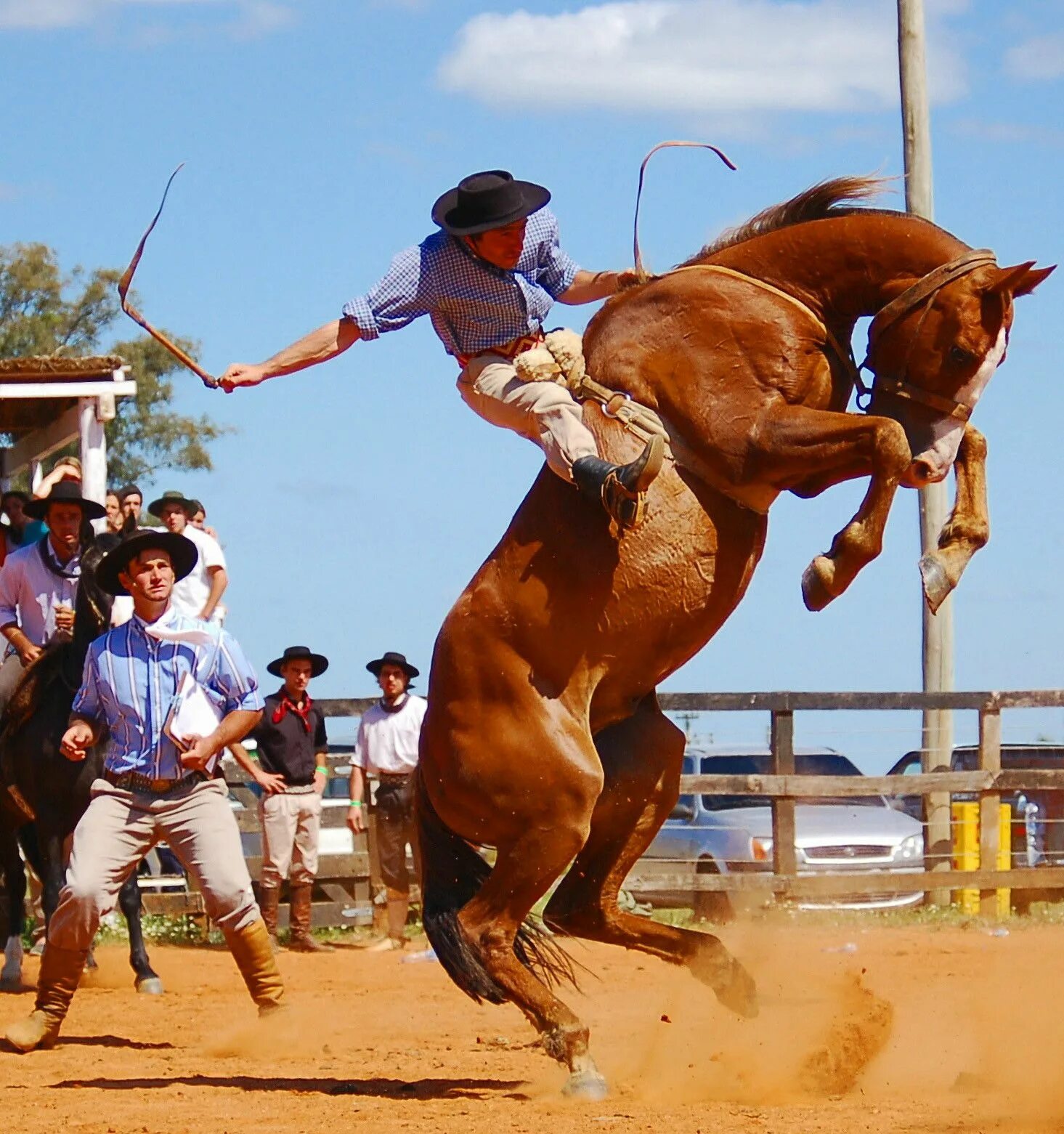 Что обозначает слово обуздал. Обуздать твердыню. Обуздать твердыню. Кто не обуздывает свой язык у того пустое благочестие. Афоризмы про искушение.