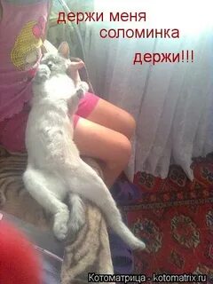 Держи меня соломинка держи