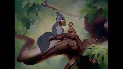 Перед сном есть два белка