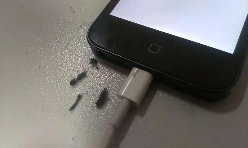 Iphone не включается и не заряжается. Айфон заряжается. iphone не заряжается. айфон на зарядке не заряжается. трещина на зарядке айфон.