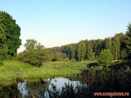 Мир подмосковья