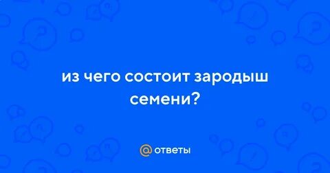 3 зародыш семени это