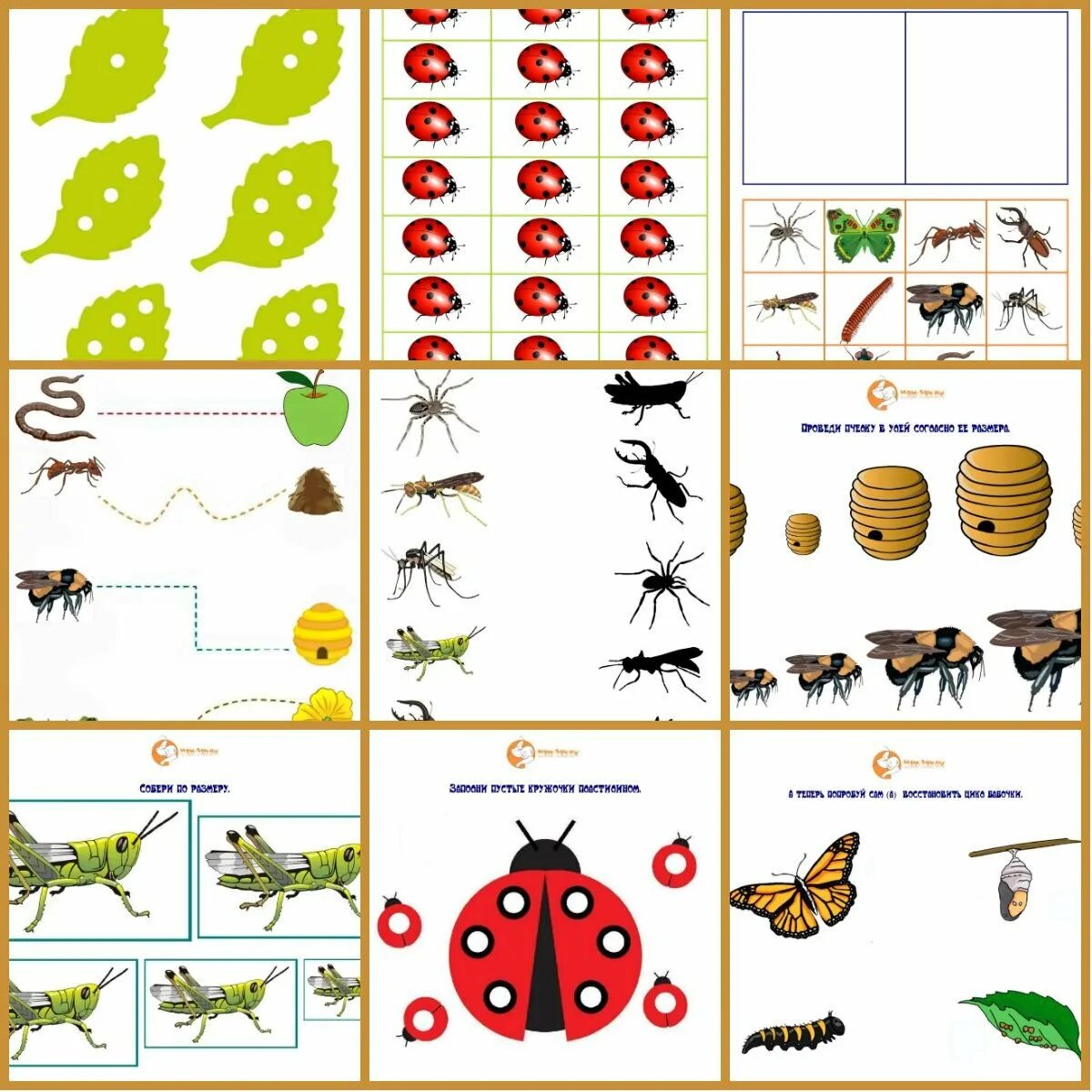 Насекомые для дошкольников подготовительная группа. Насекомые занятие для дошкольников. Насекомые задания для дошкольников. Тематический комплект насекомые. Насекомые карточки с заданиями.