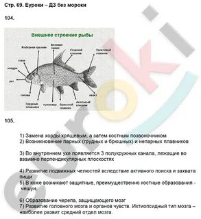 Биология 8 класс сонин с дельфином