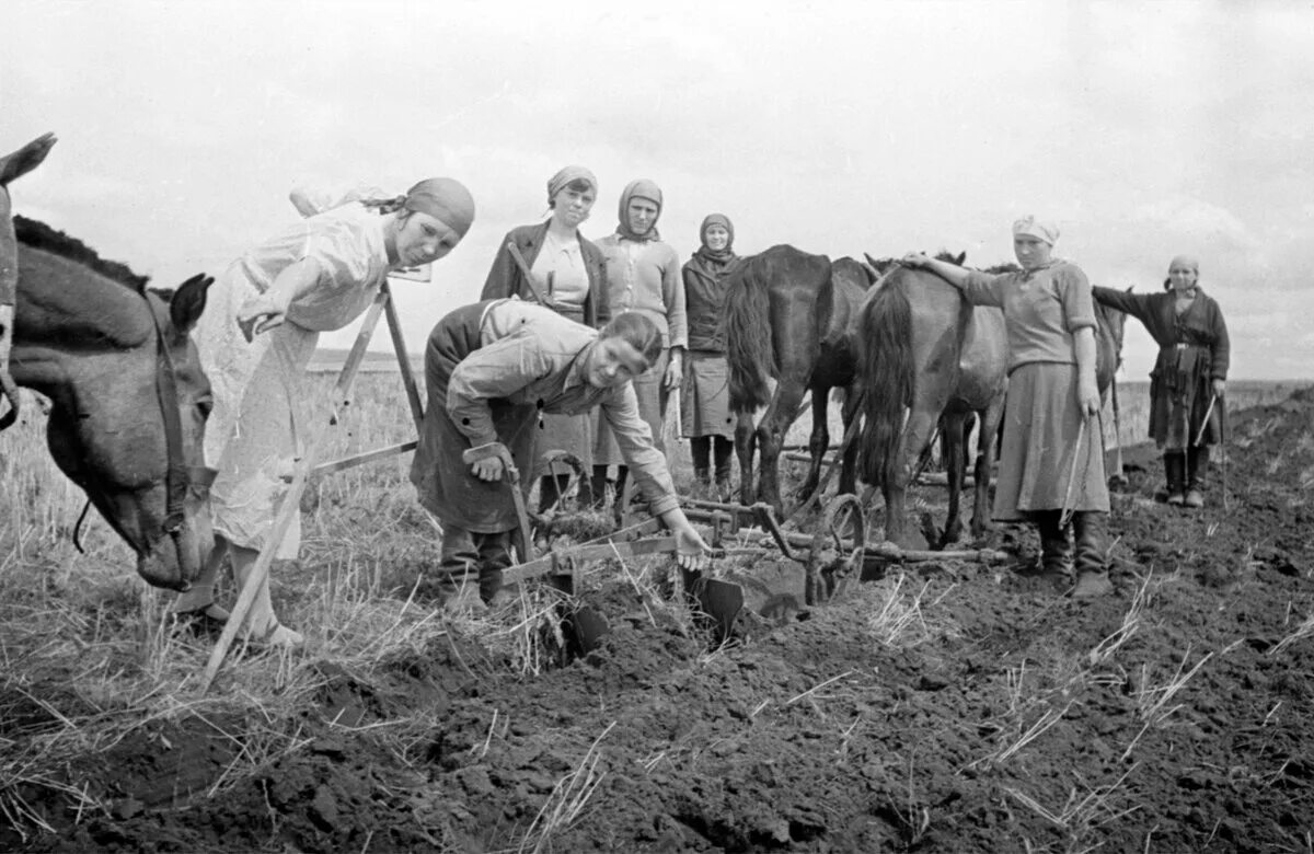 Сельское хозяйство труженицы тыла в годы Великой Отечественной войны. Труженики тыла в годы Великой Отечественной войны колхоз. Женщины - труженицы тыла в годы ВОВ. Воинов и тружеников