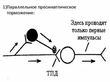 Направленное торможение