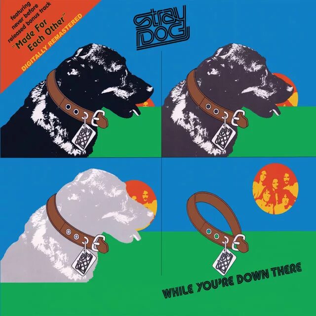 Re down. Stray Dog 1974 while you're down there. Stray Dogs группа. Stray Dog Dreams. Stray there.