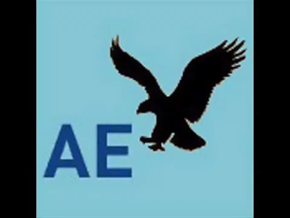 American Eagle brand. Www ae com