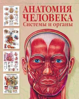 Лучший атлас по анатомии человека